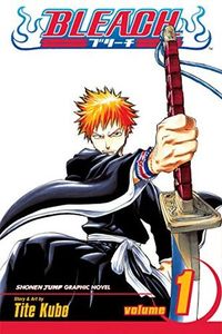 Bleach volume 1 cover